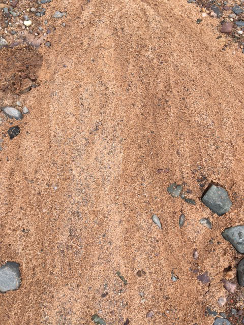 why-minerals-are-important-in-pig-nutrition